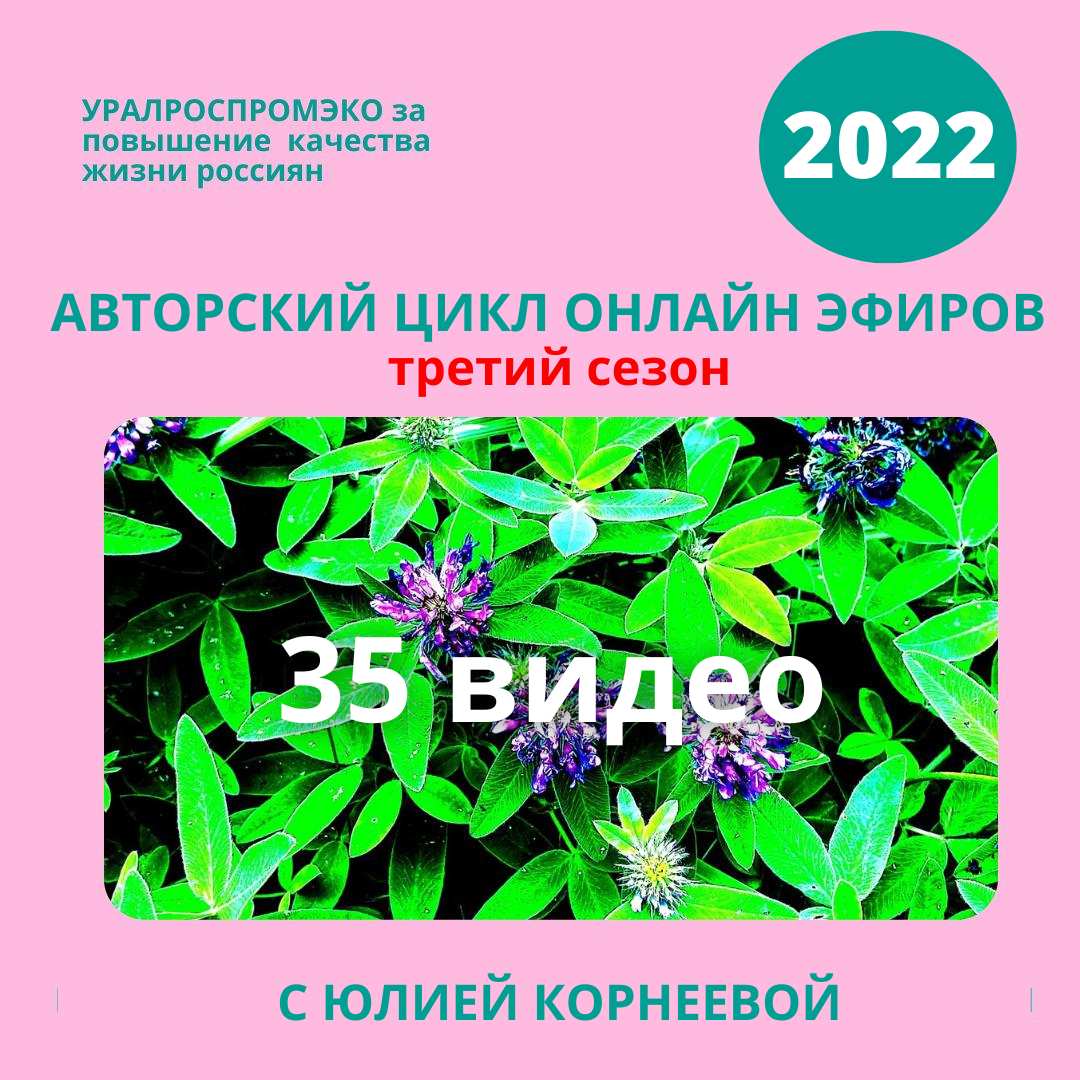 Дискуссионная экспертная площадка прямого диалога содействия инициативам в  области устойчивого развития регионов 